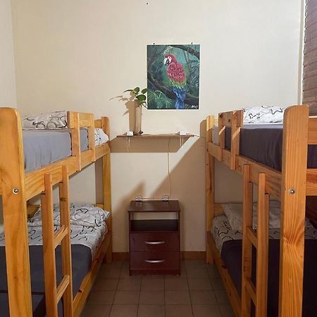 Bungalow Hostel Iguazu Puerto Iguazu Exterior photo